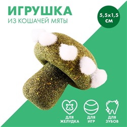 Игрушка для кошек «Гриб» из кошачьей мяты, 5,5 х 1,5 см