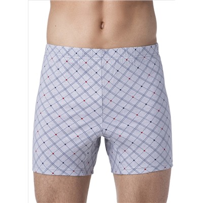 Брестские SHORTS 6400