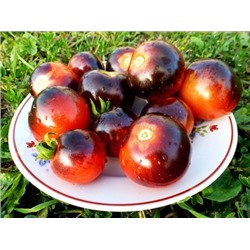 Помидоры - Blueberry Tomato - Черника