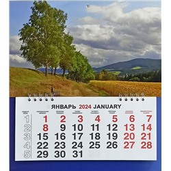 Календарь моно-эконом 2024г. Природа Берёзы у дороги КМ-24415