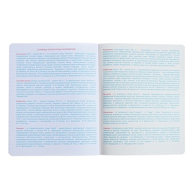 Тетрадь предметная "Неоновые истории", 48 листов в линейку, "Литература", обложка мелованный картон, ВД-лак, неон, блок офсет