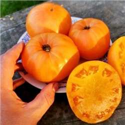 Помидоры Оранжевый Джаз - Orange Jazz Tomato