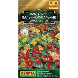 Настурция Мальчик с Пальчик (Код: 92460)