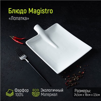 Блюдо Magistro «Лопатка», 24,5×18 см