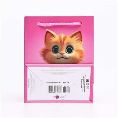 Пакет подарочный "Котик", 11,5 х 14,5 х 6,5 см