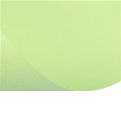 Бумага цветная А4, 50 листов Calligrata Пастель, зелёная, 80 г/м²