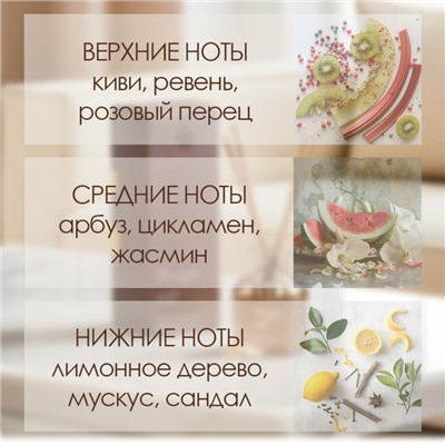 Диффузор ароматический Hygge #17 Розовый перец и лимонное дерево 50 мл