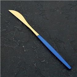 Нож столовый из нержавеющей стали Magistro «Блинк», длина 22 см, на подвесе, цвет золотой, синяя ручка