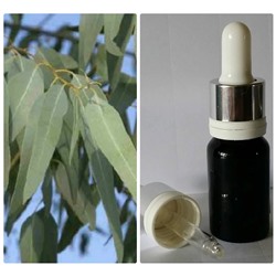 38 Эфирное масло Эвкалипт Eucalyptus Globulus, 10 мл