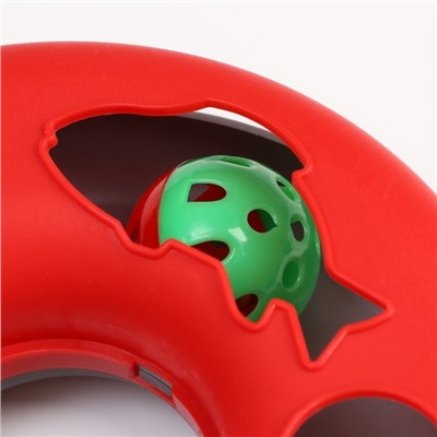 Игрушка для кошек "Загадочный круг - Рыбки", мышь на пружине и шарик, 23х7 см,красная/серая