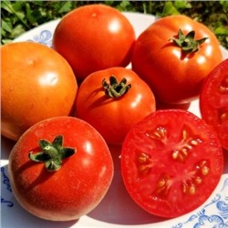 Помидоры Пушистый Персиковый Лилипут - Persik Dwarf Tomato
