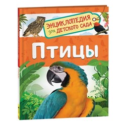 Энциклопедия для детского сада «Птицы», Гальцева С. Н.