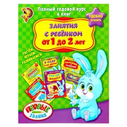 Обучающие книги «Полный годовой курс. Серия от 1 до 2 лет», 6 книг по 16 стр., в папке