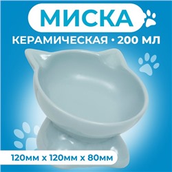 Миска керамическая "Киса" на подставке-лапках 200 мл  13 х 12 х 8 см, серая