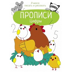 Цифры.Прописи