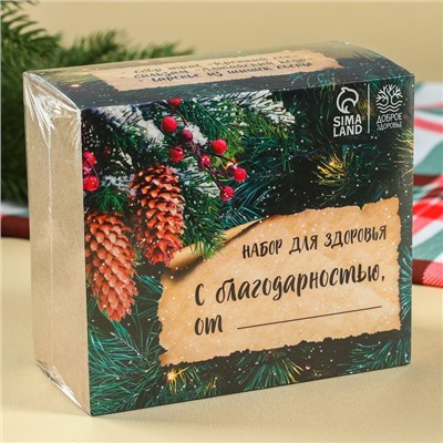 Набор «Будьте здоровы»: чай 20 г., варенье из сосновых шишек 30 г., бальзам 100 мл.
