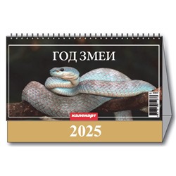 Календарь Домик 2025г. СИМВОЛ ГОДА. ВИД 1 3800001