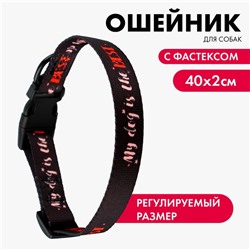 Ошейник My dog is the best, застёжка - фастекс, 2 см 25-40 см