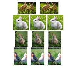Набор водорастворимых картинок - Кролики №1