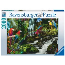 Ravensburger. Пазл карт. 2000 арт.17111 "Разноцветные попугаи в джунглях"