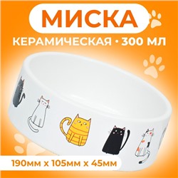 Миска керамическая "Котяры" 300 мл  12,5 x 4,5 cм, белая