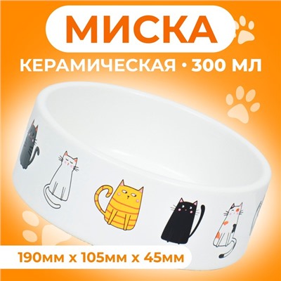 Миска керамическая "Котяры" 300 мл  12,5 x 4,5 cм, белая