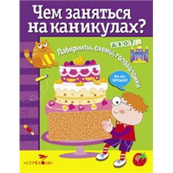 Чем заняться на каникулах.Вып.4.Лабиринты,схемы,головоломки