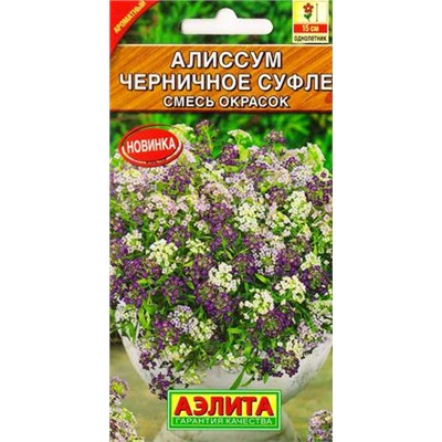 Алиссум Черничное суфле смесь (Код: 82939)