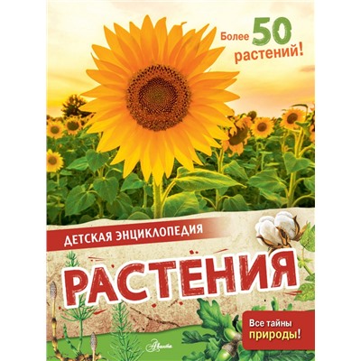 Растения