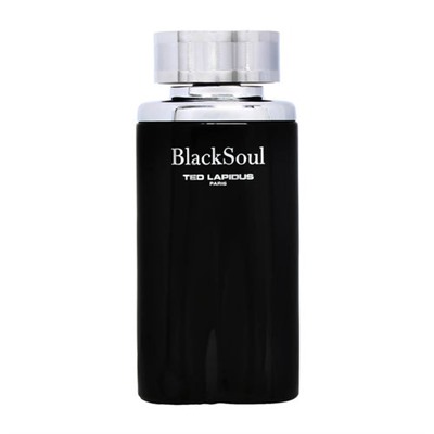 Ted Lapidus Black Soul Eau de Toilette