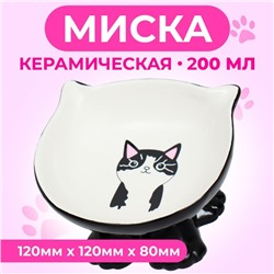 Миска керамическая "Киса" на подставке-лапках 200 мл  13 х 12 х 8 см, чёрная