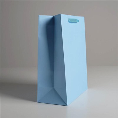 Пакет подарочный «Голубой», 26 х 32 х 12  см