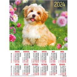 Календари листовые 10 штук A2 2024 Собаки. Щенок в цветах 30951