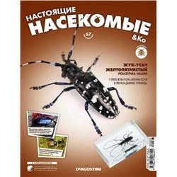 Журнал №67 "Настоящие насекомые" С ВЛОЖЕНИЕМ! Жук-усач желтопятнистый