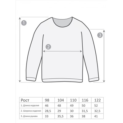 М-3213 Лонгслив 98-122 5шт