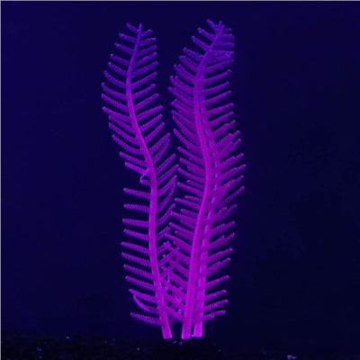 Растение силиконовое аквариумное, светящееся в темноте, 4,5 х 15 см, фиолетовое