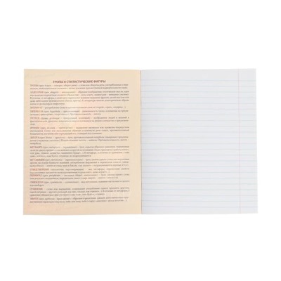 Тетрадь предметная Calligrata "Футбол", 48 листов в линию Литература, со справочным материалом, обложка мелованный картон, УФ-лак, блок офсет