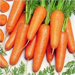 Морковь Канада  1г