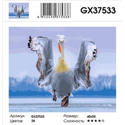 GX 37533 уценка по сроку