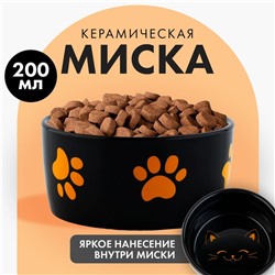 Миска керамическая «Веселый котик», 200 мл, для кошек