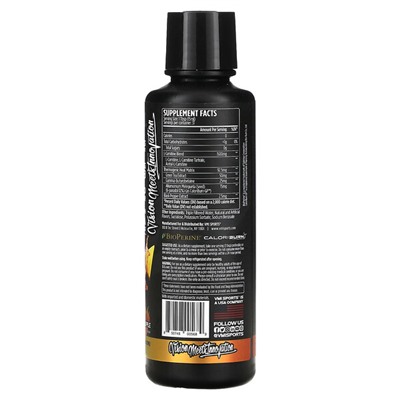 VMI Sports L-Carnitine 1500 Heat, апельсин-ананас, 16 жидких унций (473 мл)