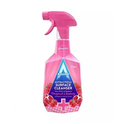 Антибактериальное средство для очистки поверхностей Astonish Pomegranate & Raspberry 750 мл
