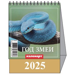 Календарь Домик мал. 2025.г СИМВОЛ ГОДА. ВИД 1 3700005