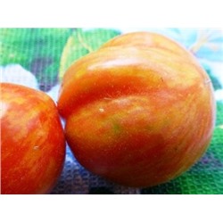 Помидоры Elberta Peach - Полосатый Персик