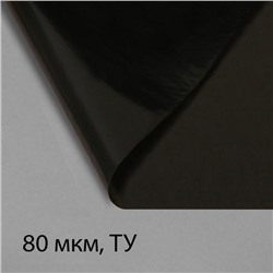 Плёнка полиэтиленовая, техническая, толщина 80 мкм, 10 × 3 м, рукав (2 × 1,5 м), чёрная, 2 сорт, Эконом 50 %
