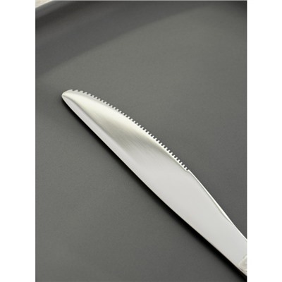 Нож столовый из нержавеющей стали Magistro Bravo, длина 20,7 см, толщина 4 мм