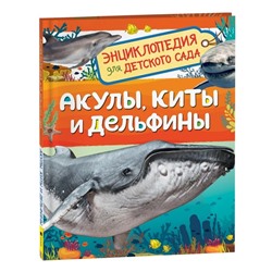 Акулы, киты и дельфины. Клюшник Л.В.