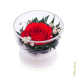 Композиция из красной розы (арт. CuSr1) в подарочной упаковке