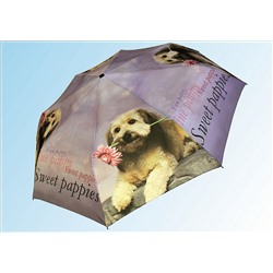 Зонт ПЛ016 щенок лиловый