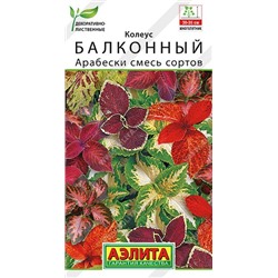 Колеус Арабески (Код: 91009)